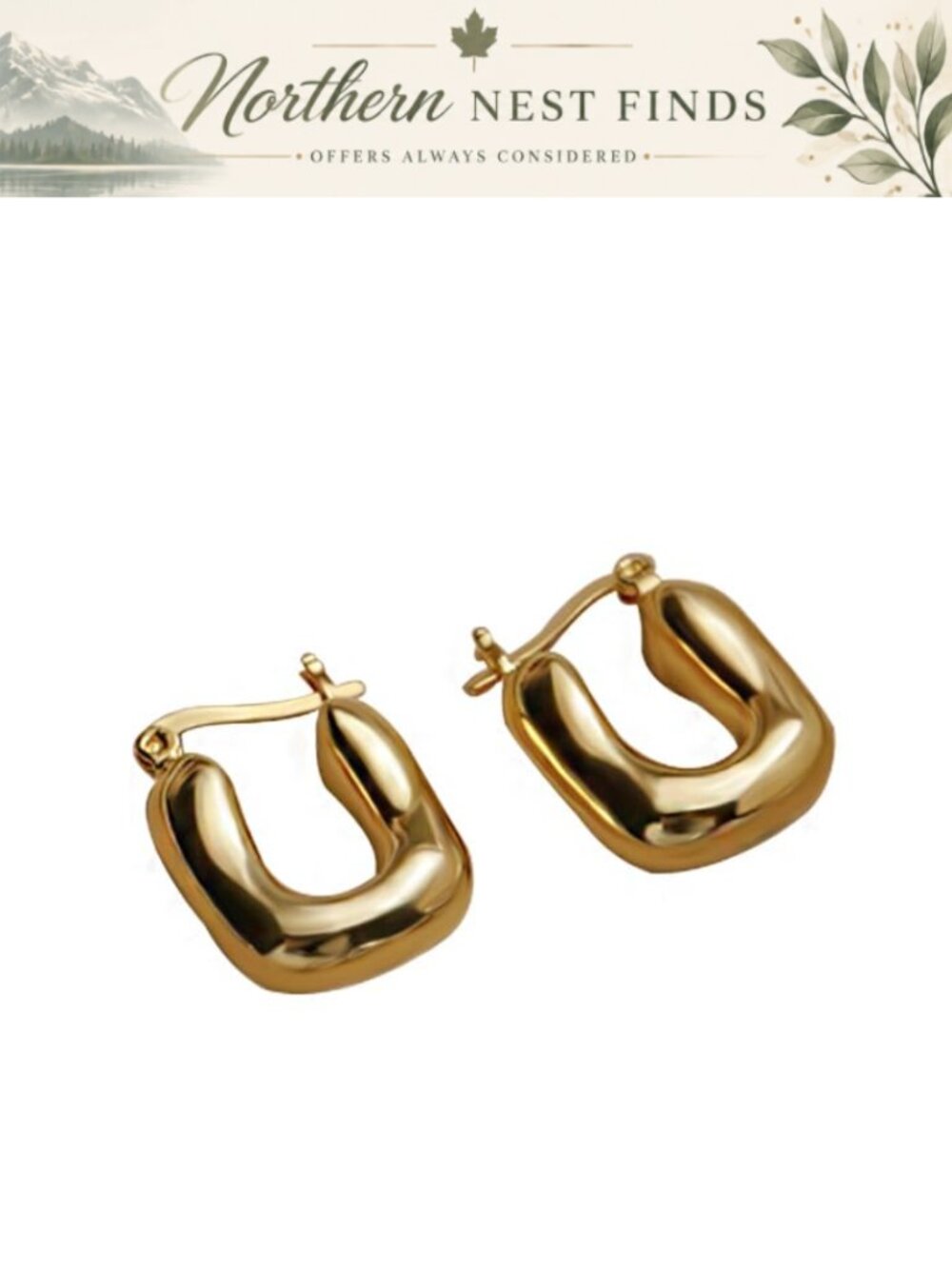 Gold Hoop Earrings for Women Silver Hoops Small Twisted Hoop Earrings
